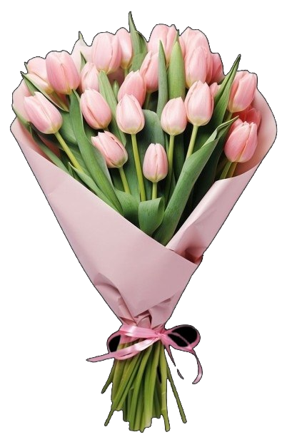 A bouquet of pink tulips